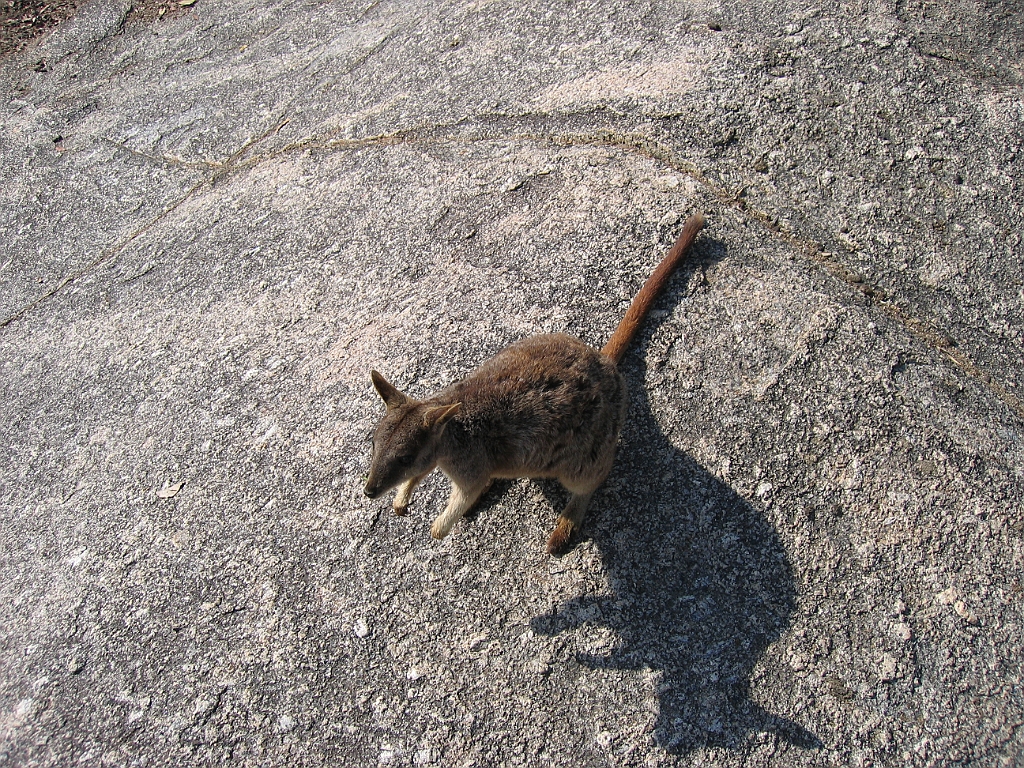 CairnsTC120 Granite Gorge.jpg